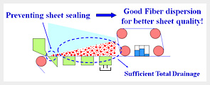 Moderate drainage model