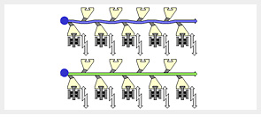 Mechanism 1